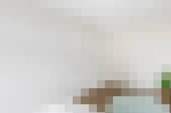 Cypressenlaan 23 Sprang-Capelle thumbnail 23