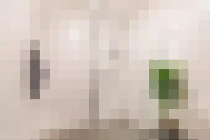 Cypressenlaan 23 Sprang-Capelle thumbnail 25