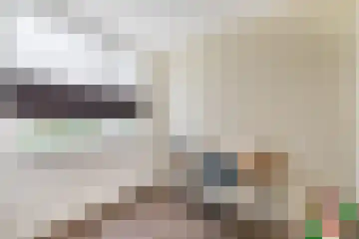 Cypressenlaan 23 Sprang-Capelle thumbnail 28