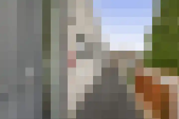 Cypressenlaan 23 Sprang-Capelle thumbnail 37