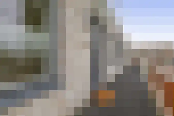 Cypressenlaan 23 Sprang-Capelle thumbnail 5