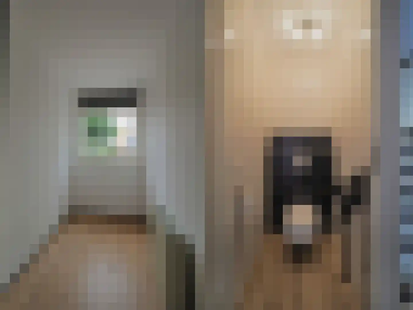 Cypressenlaan 27 Papendrecht thumbnail 10