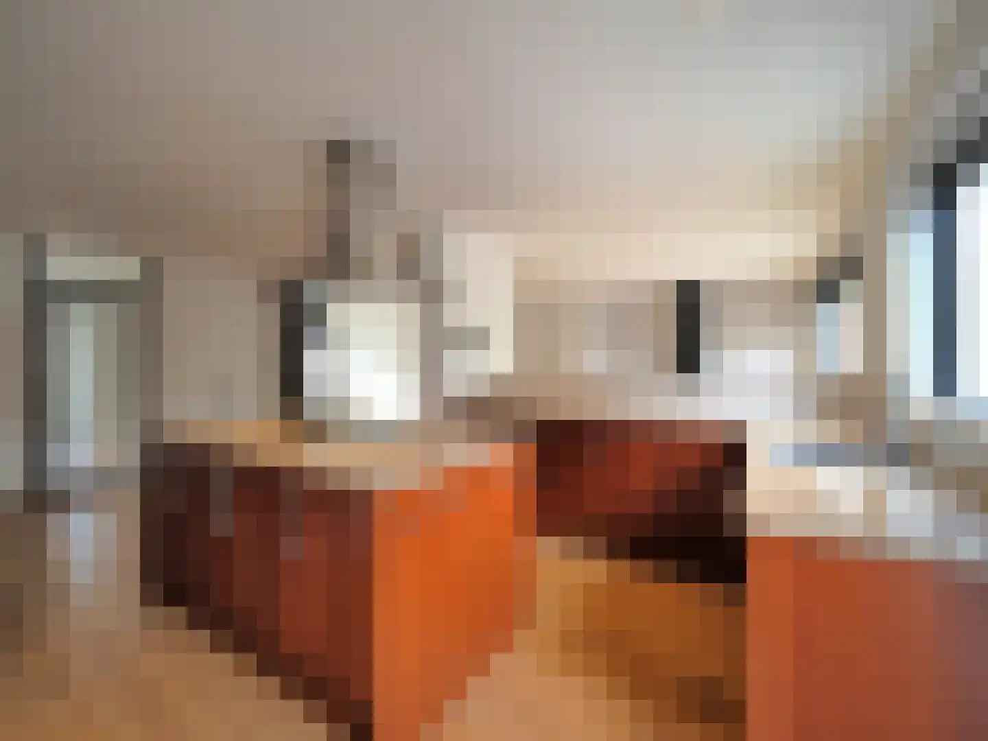 Cypressenlaan 27 Papendrecht thumbnail 20