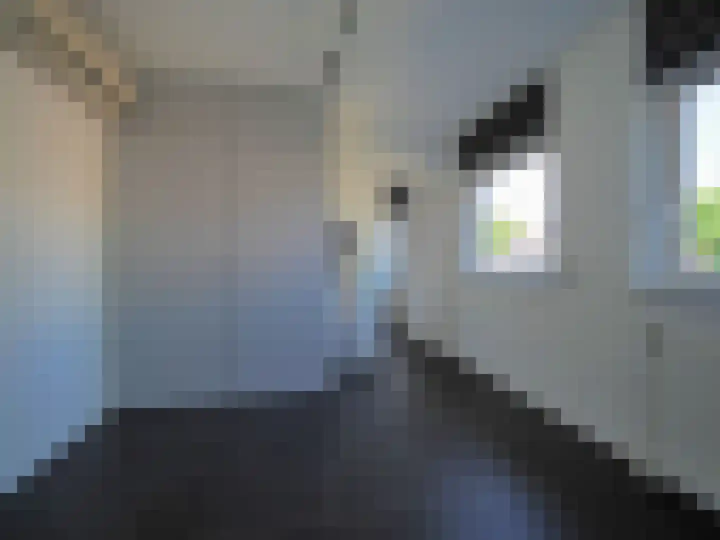 Cypressenlaan 27 Papendrecht thumbnail 29
