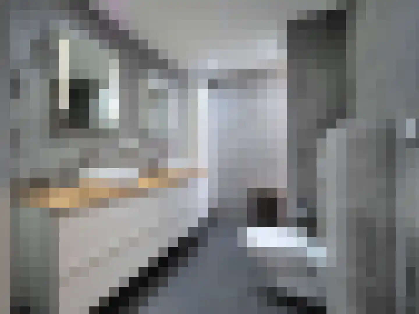 Cypressenlaan 27 Papendrecht thumbnail 35