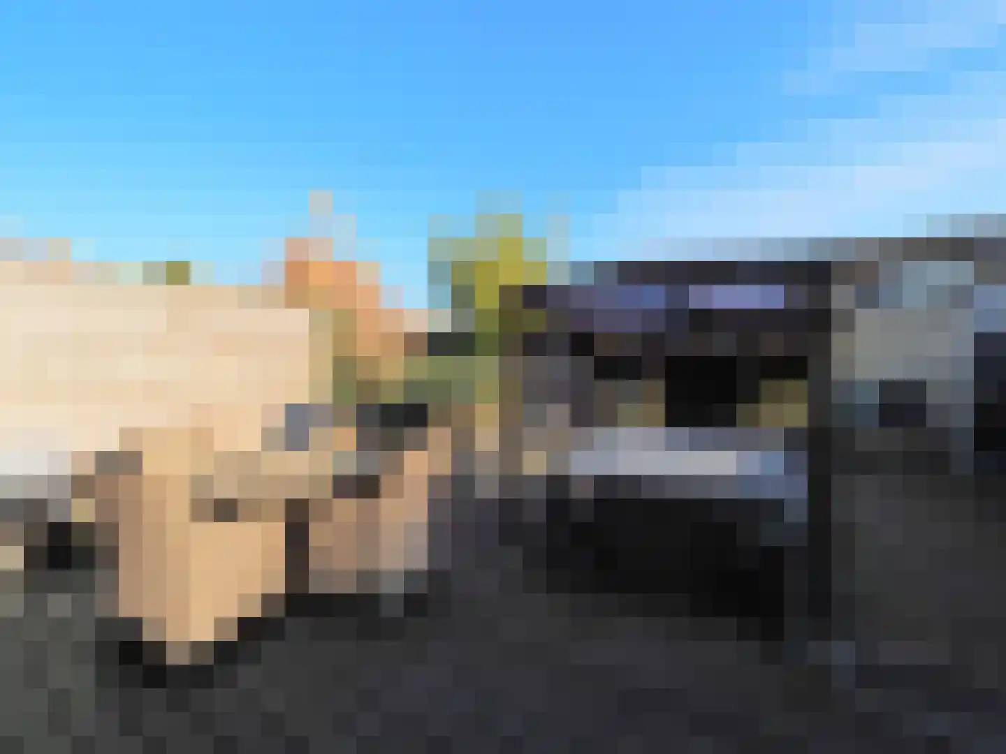 Cypressenlaan 27 Papendrecht thumbnail 48