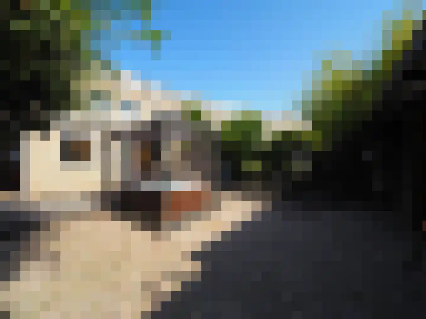 Cypressenlaan 27 Papendrecht thumbnail 49