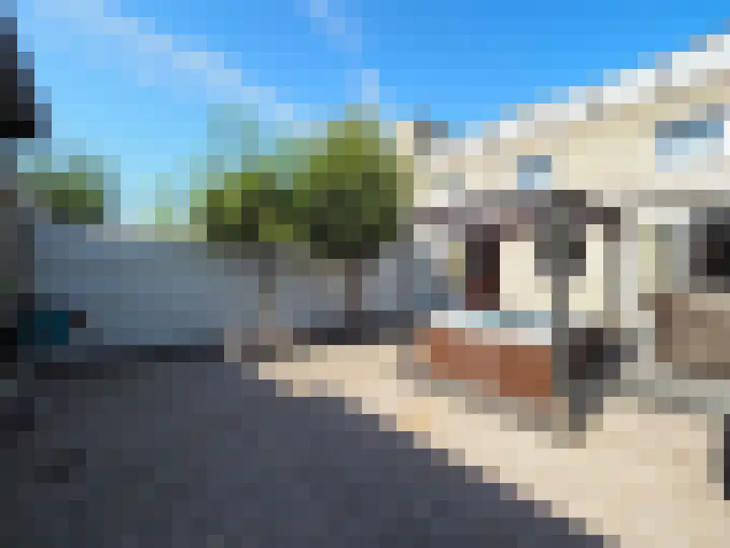 Cypressenlaan 27 Papendrecht thumbnail 50