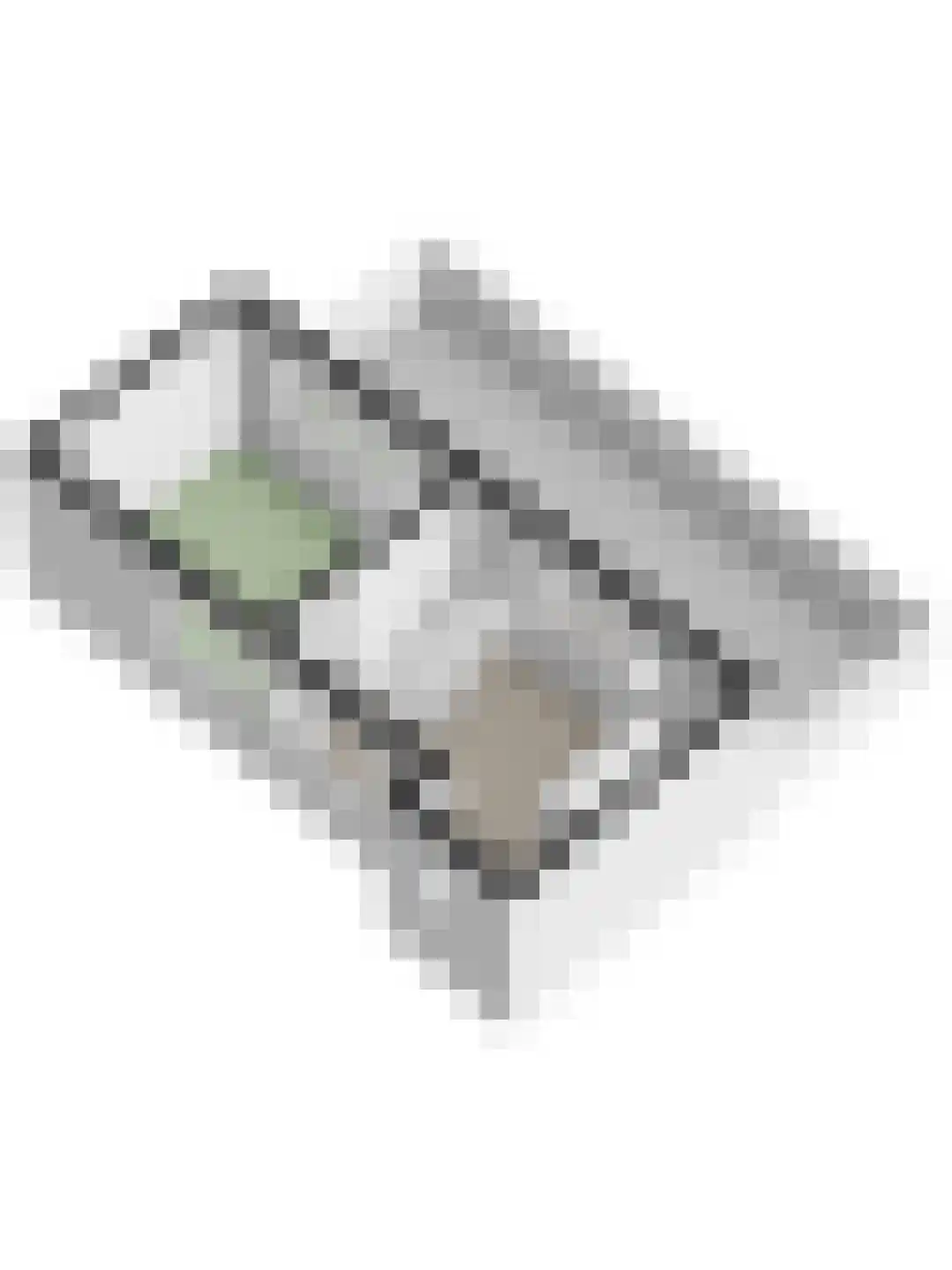 Cypressenlaan 27 Papendrecht thumbnail 60