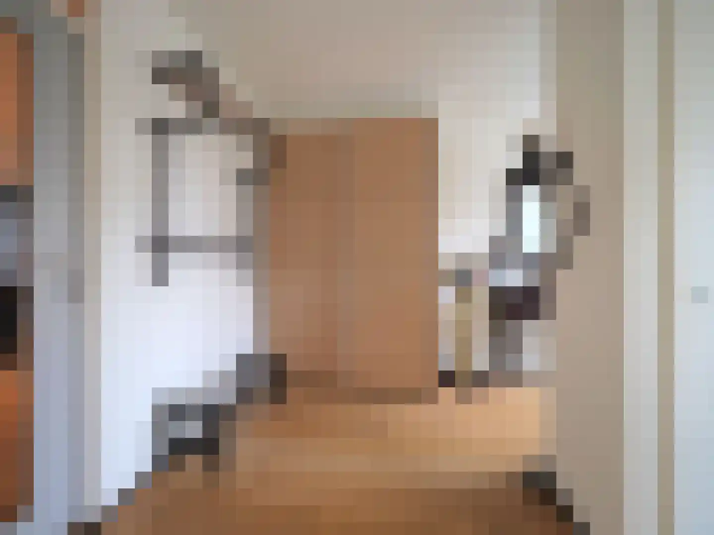 Cypressenlaan 27 Papendrecht thumbnail 7