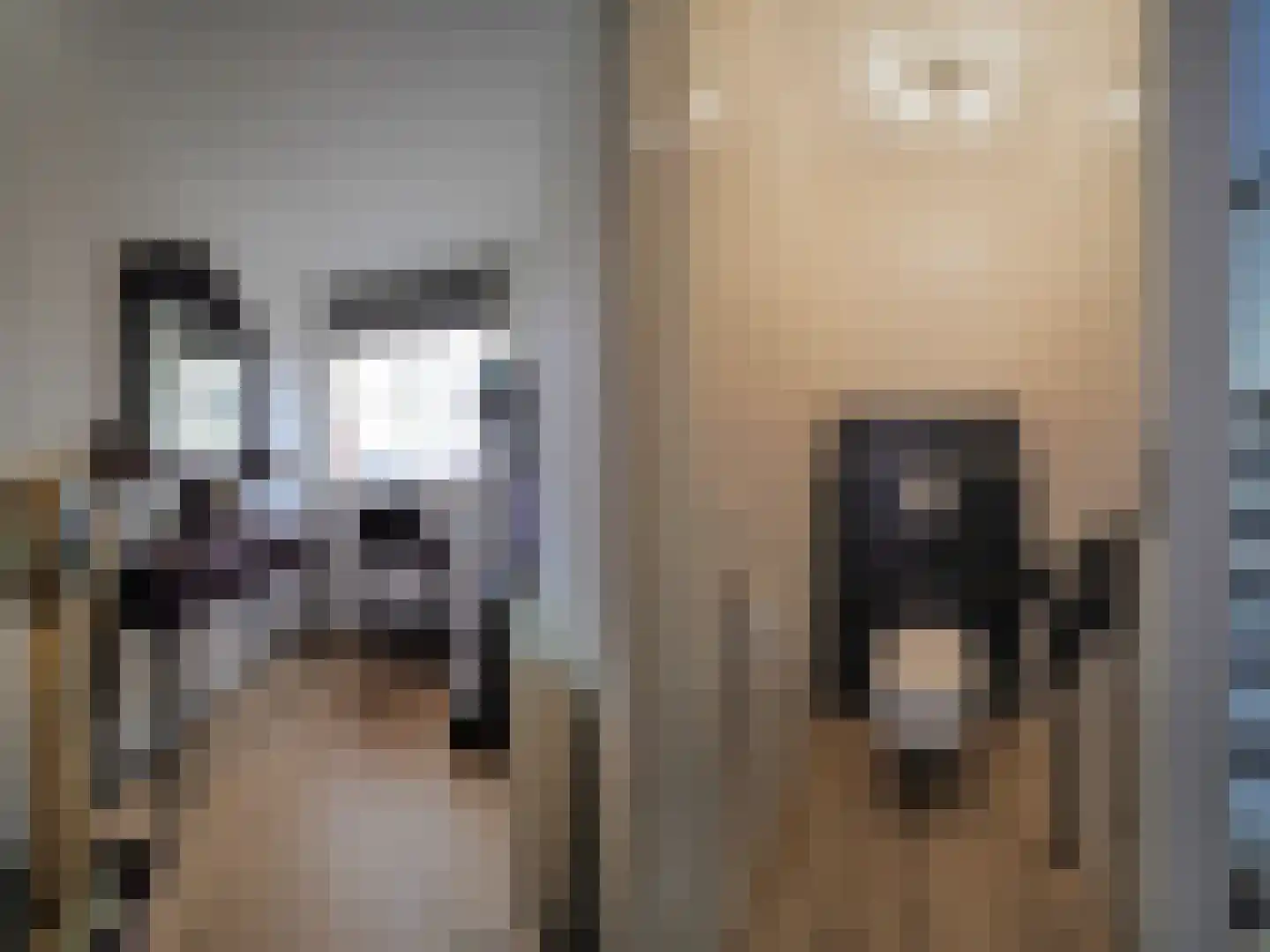 Cypressenlaan 27 Papendrecht thumbnail 8