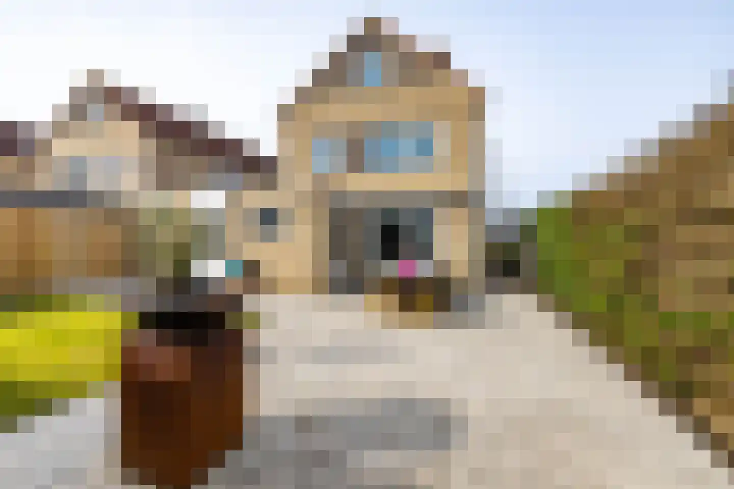 Cypressenlaan 3 Hoogezand