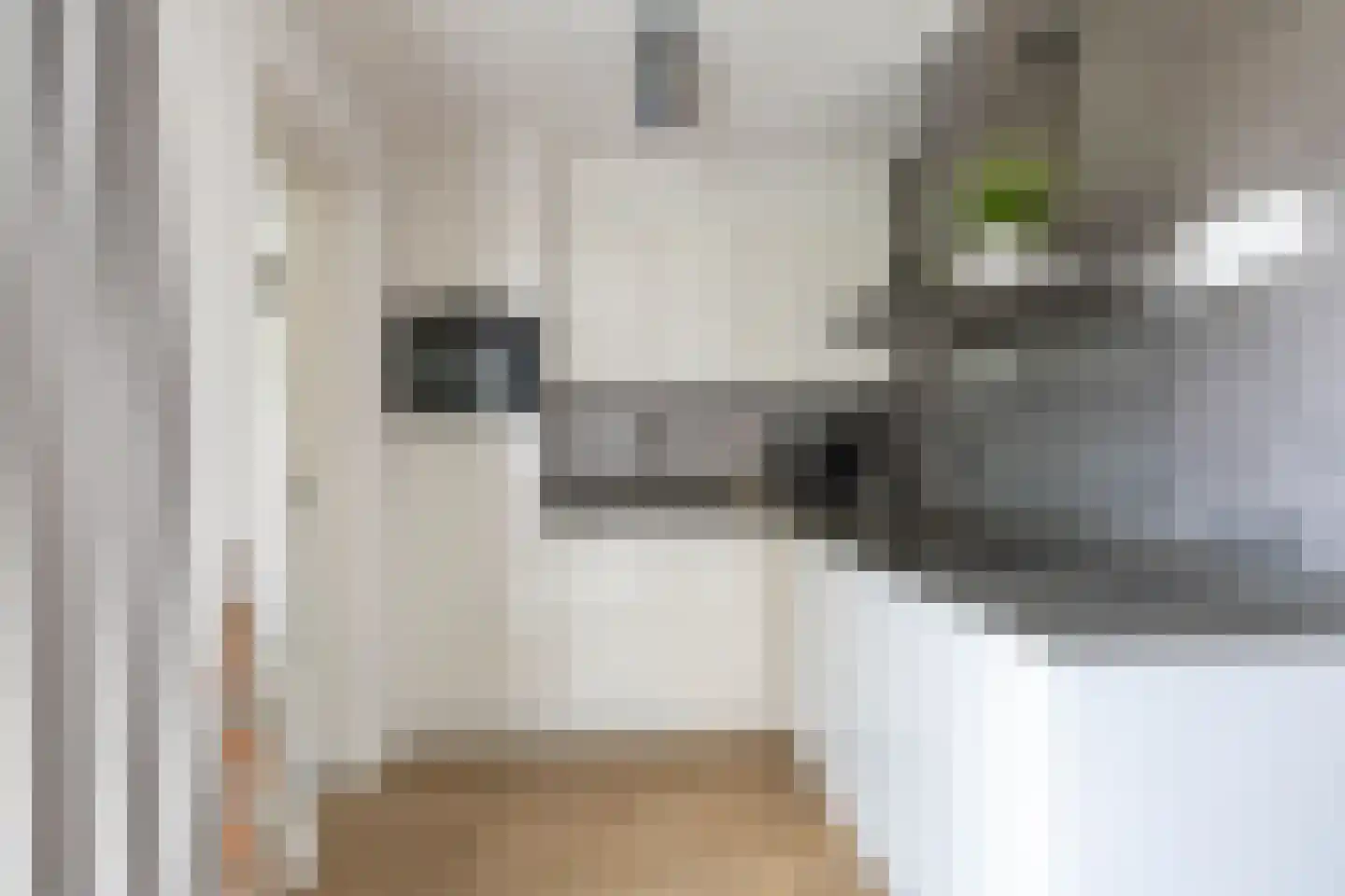 Cypressenlaan 3 Hoogezand thumbnail 18