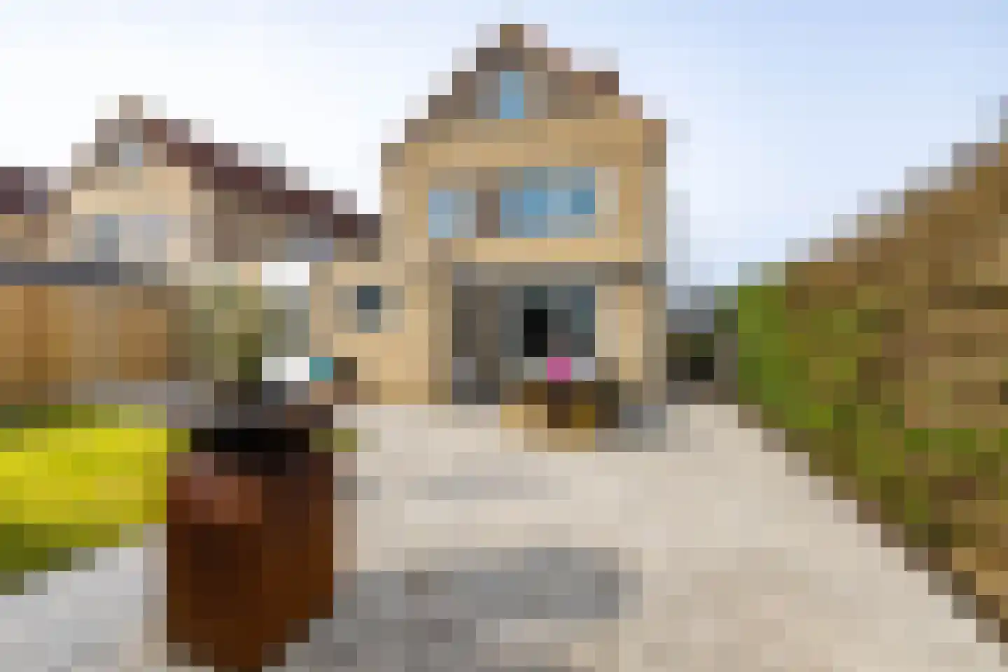 Cypressenlaan 3 Hoogezand thumbnail 27