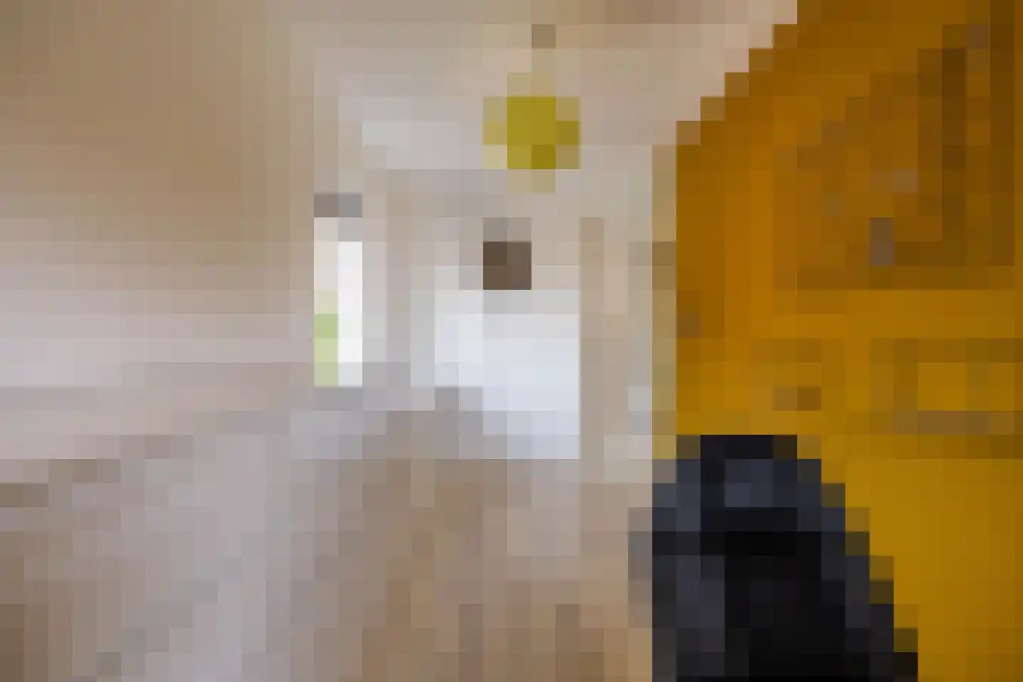Cypressenlaan 3 Hoogezand thumbnail 42