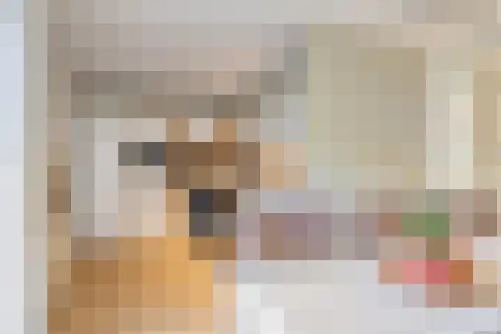 Cypressenlaan 33 Hoogezand thumbnail 10