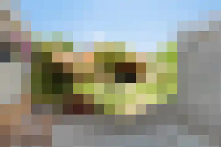 Cypressenlaan 33 Hoogezand thumbnail 28