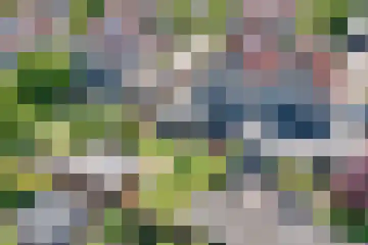 Cypressenlaan 33 Hoogezand thumbnail 38