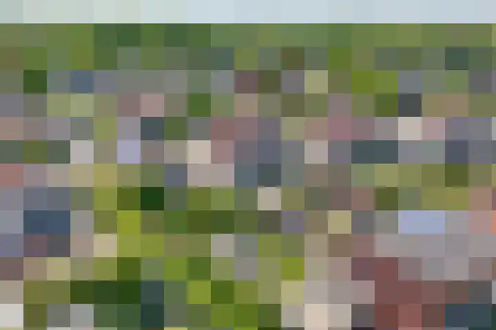 Cypressenlaan 33 Hoogezand thumbnail 39