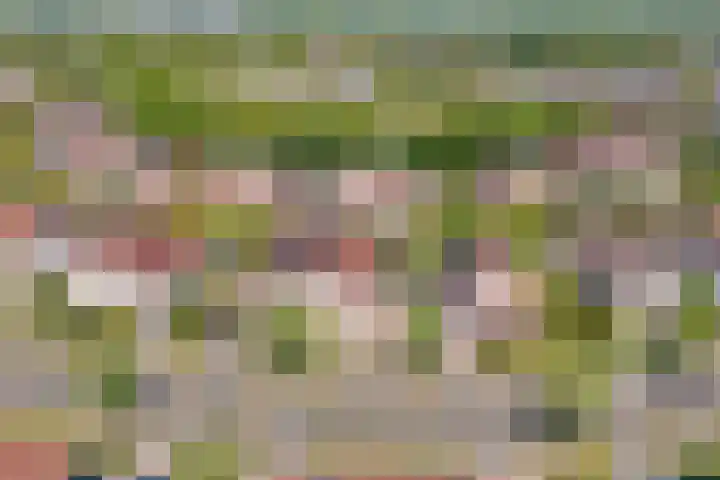 Cypressenlaan 33 Hoogezand thumbnail 40