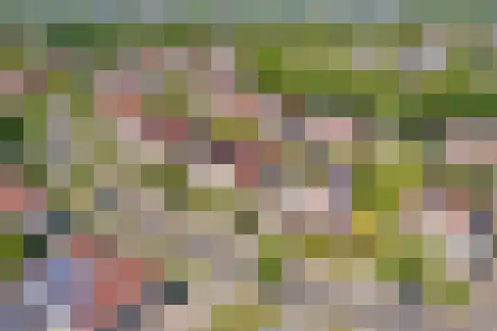 Cypressenlaan 33 Hoogezand thumbnail 41