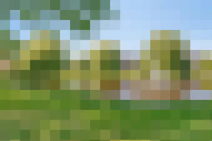 Cypressenlaan 33 Hoogezand thumbnail 49