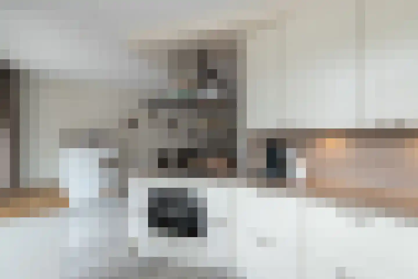 Cypressenlaan 49 Papendrecht thumbnail 13