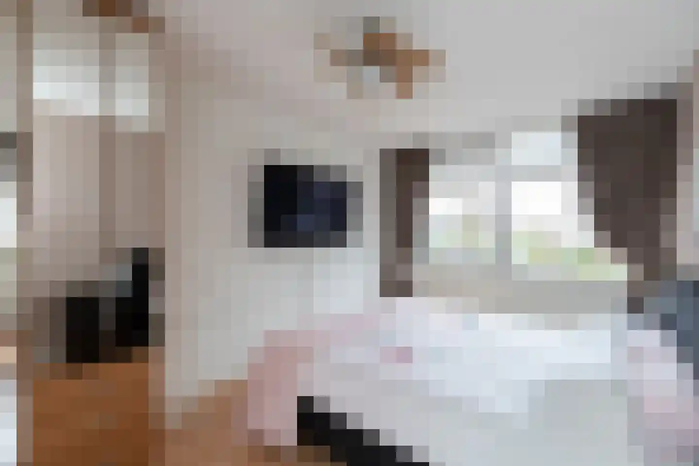 Cypressenlaan 49 Papendrecht thumbnail 15