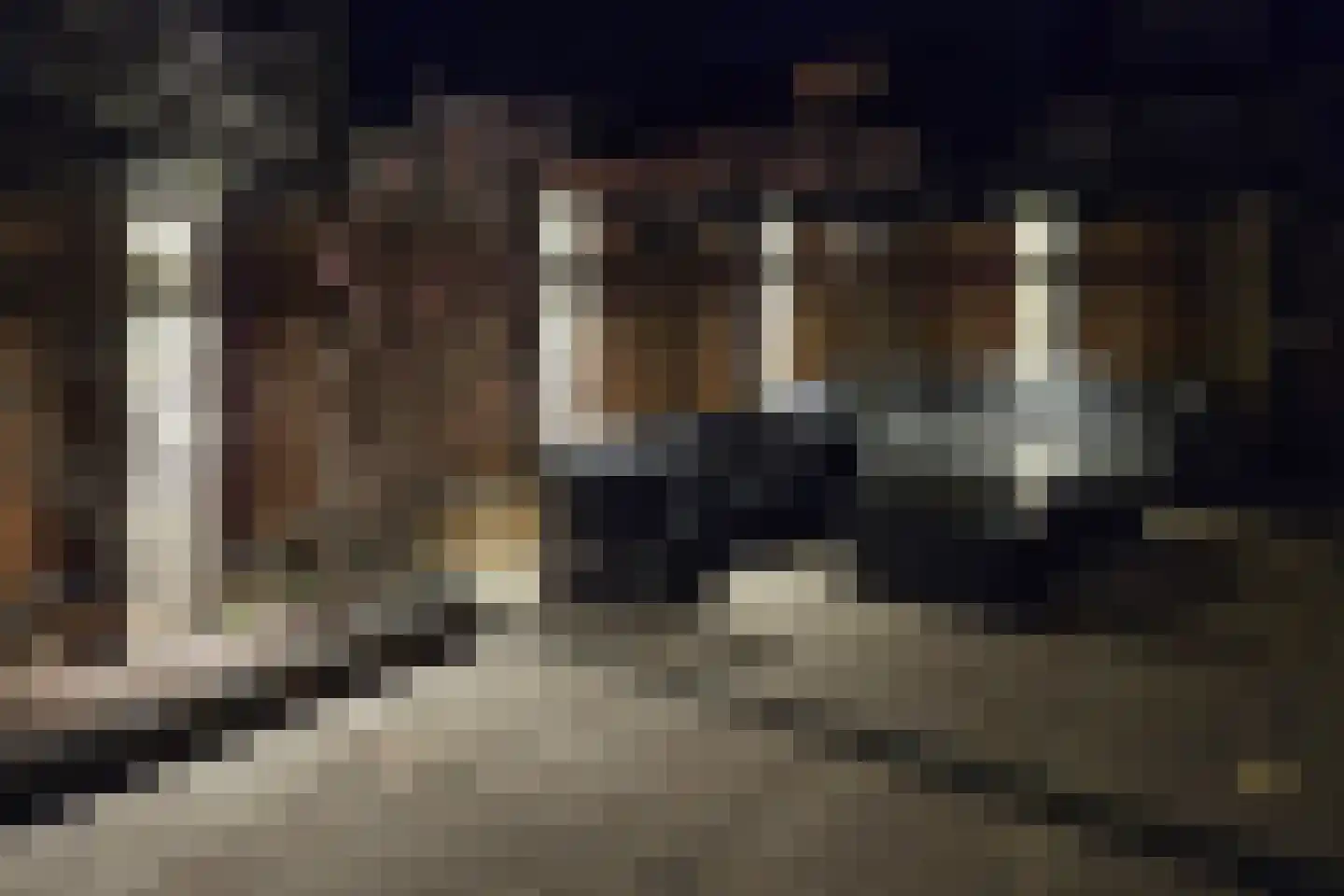 Cypressenlaan 49 Papendrecht thumbnail 30
