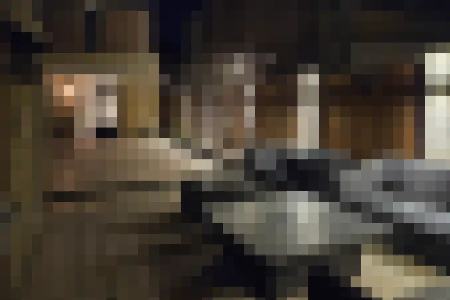 Cypressenlaan 49 Papendrecht thumbnail 32
