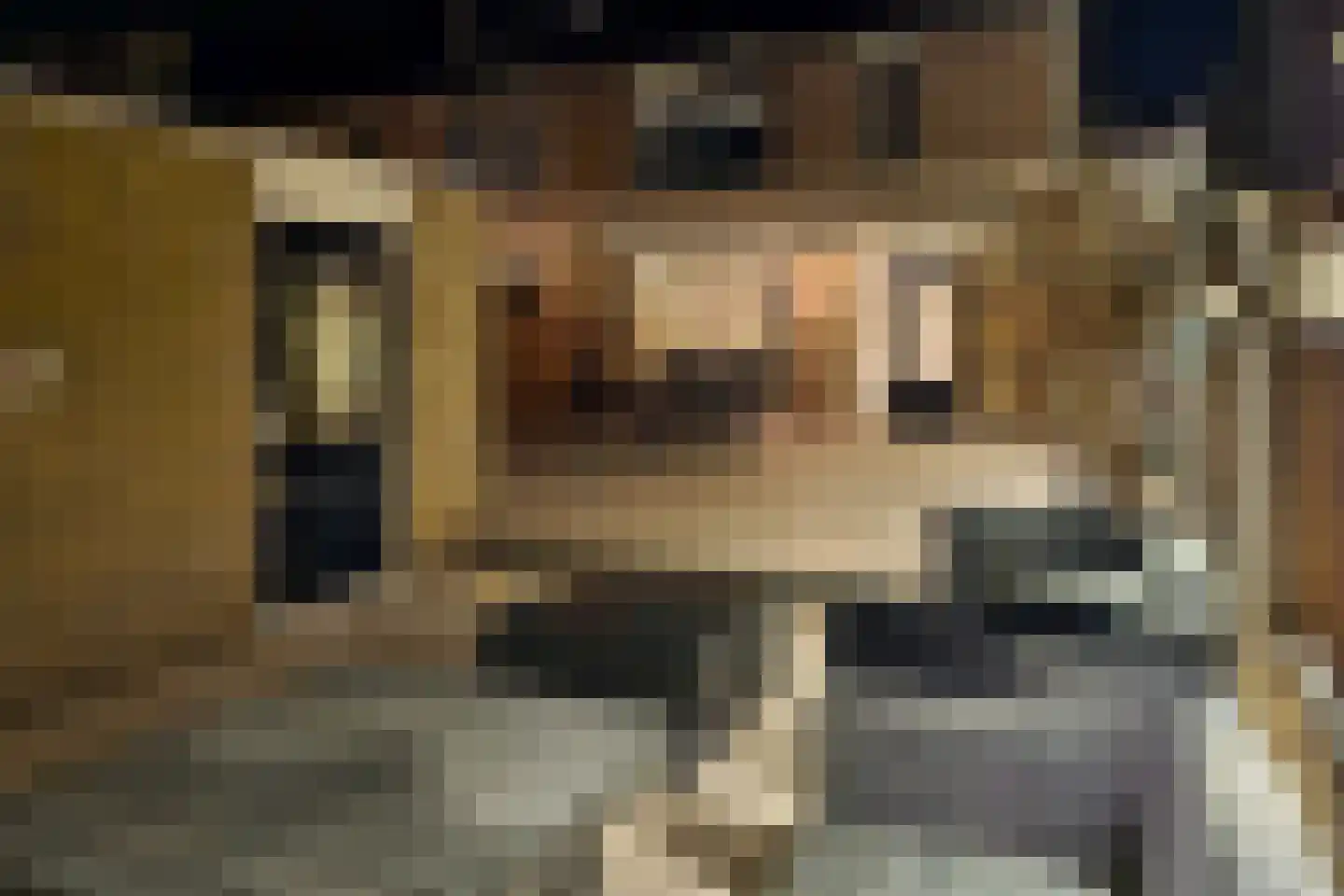 Cypressenlaan 49 Papendrecht thumbnail 34