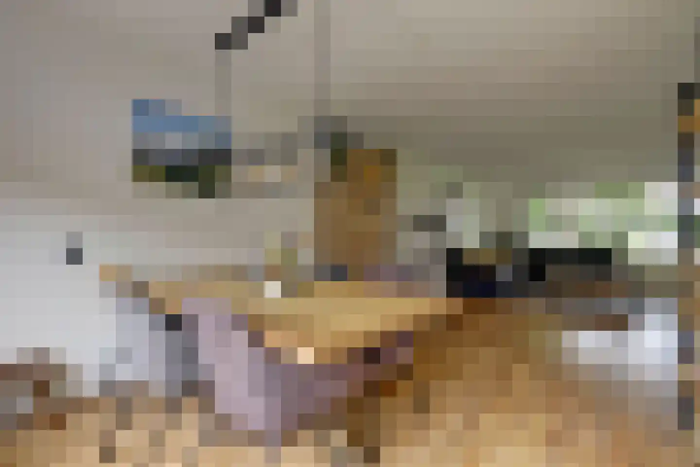 Cypressenlaan 57 Papendrecht thumbnail 14