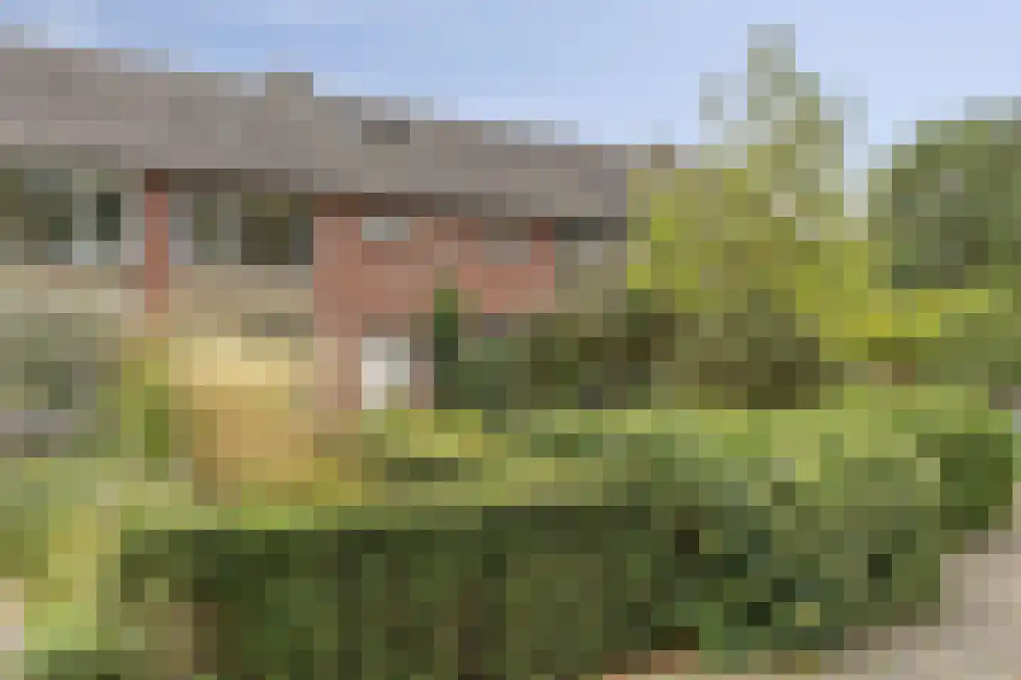 Cypressenlaan 67 Sint-Michielsgestel thumbnail 32