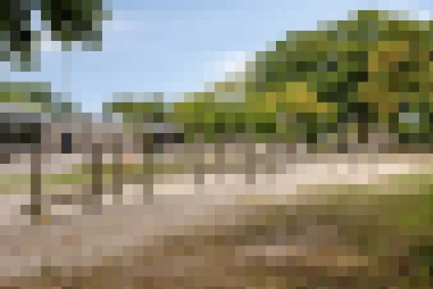 Cypressenlaan 67 Sint-Michielsgestel thumbnail 36