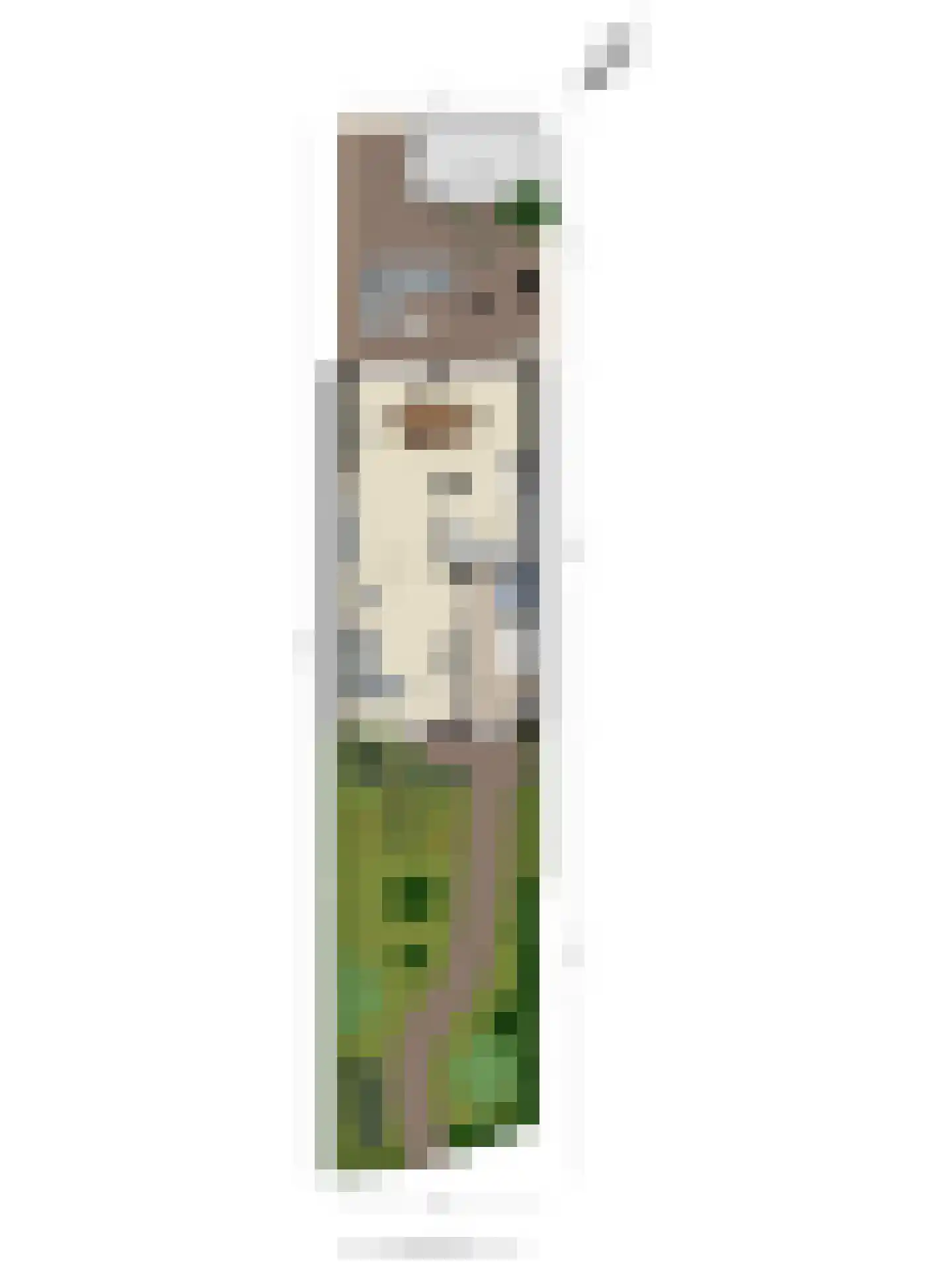 Cypressenlaan 67 Sint-Michielsgestel thumbnail 37