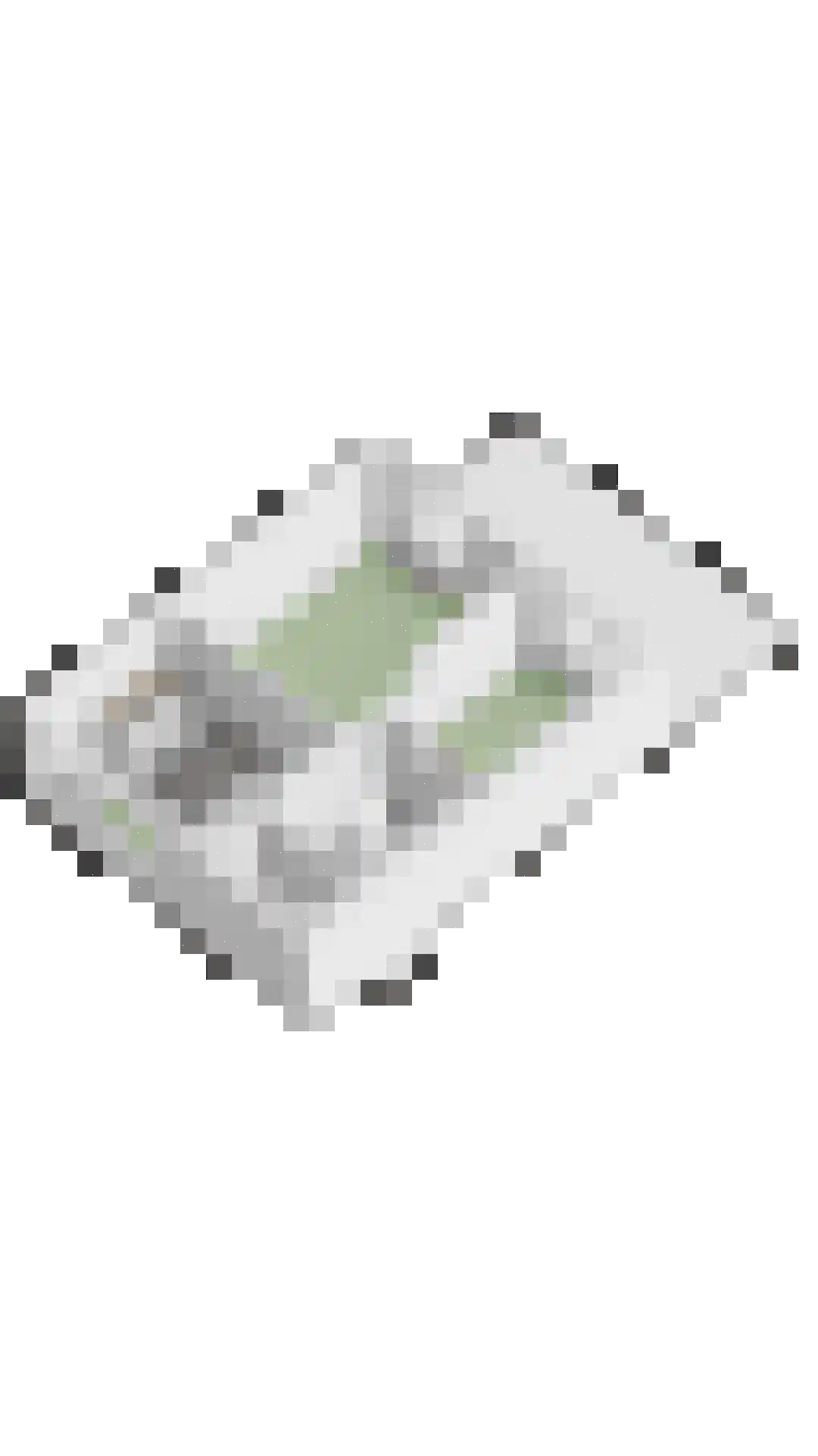 Cypressenlaan 67 Sint-Michielsgestel thumbnail 42