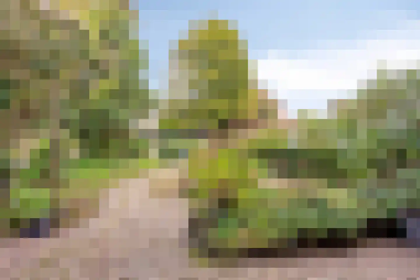 Cypressenlaan 67 Sint-Michielsgestel thumbnail 5