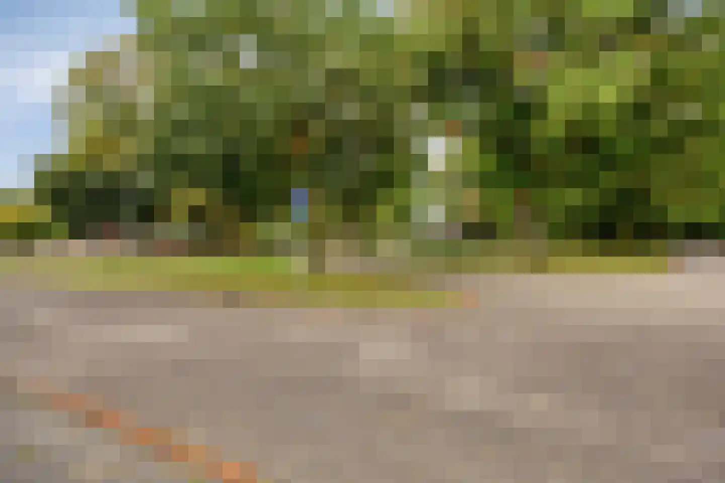 Cypressenlaan 67 Sint-Michielsgestel thumbnail 6