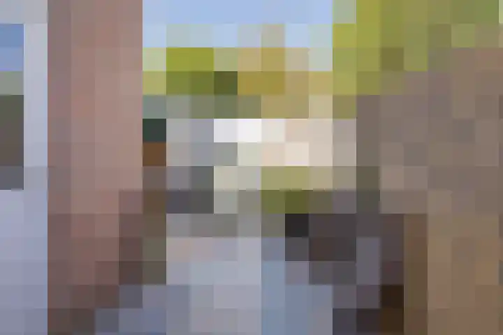 Cypressenstraat 1 IJmuiden thumbnail 17