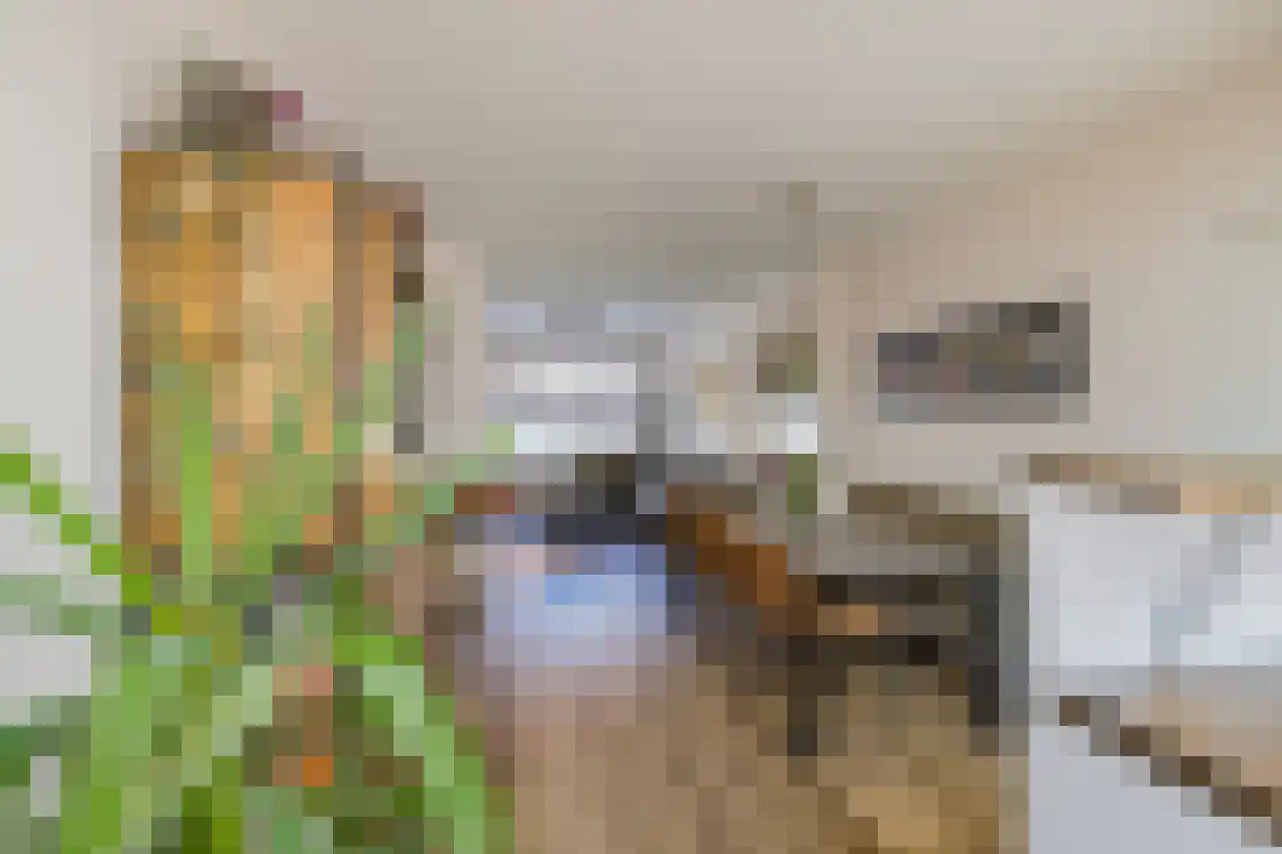 Cypressenstraat 20 IJmuiden thumbnail 8