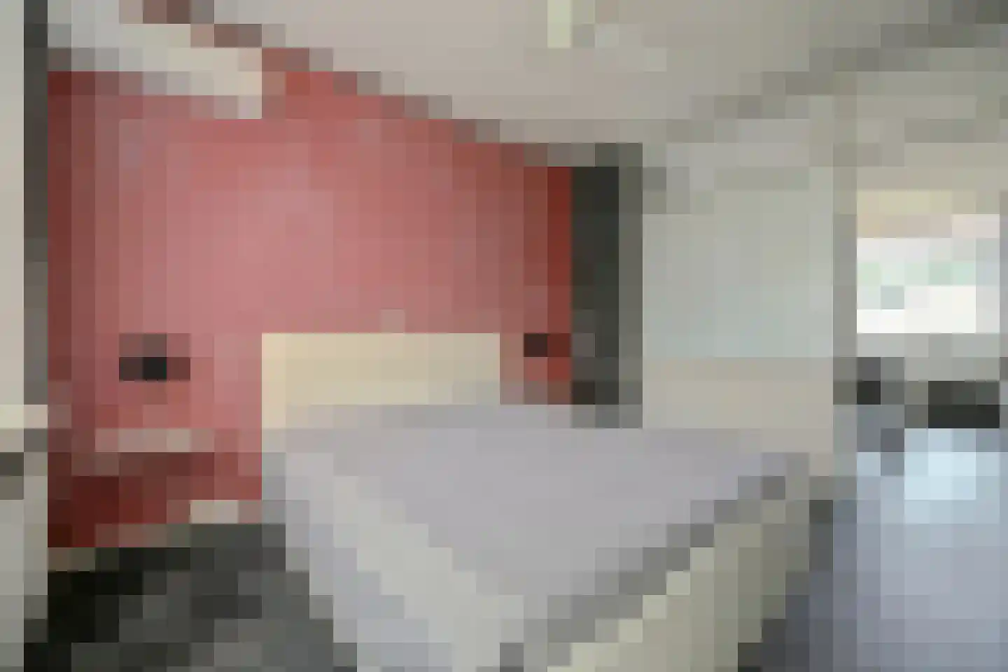 Cypressenstraat 26 Goes thumbnail 18