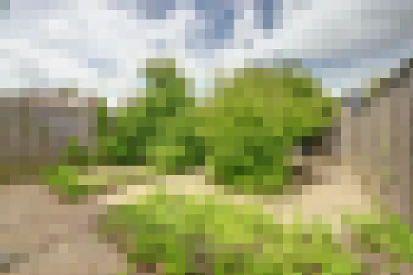 Cypressenstraat 26 Goes thumbnail 25