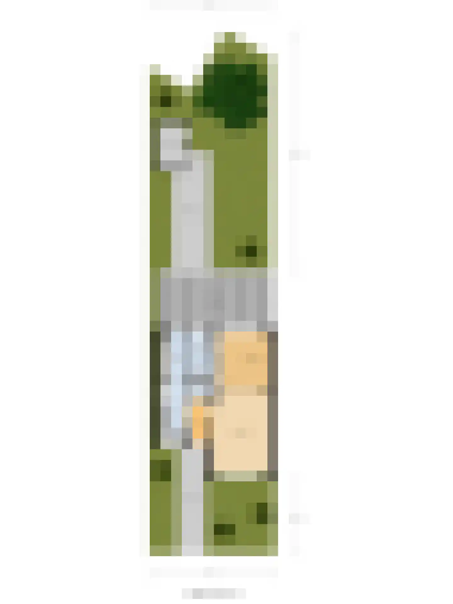 Cypressenstraat 26 Goes thumbnail 34