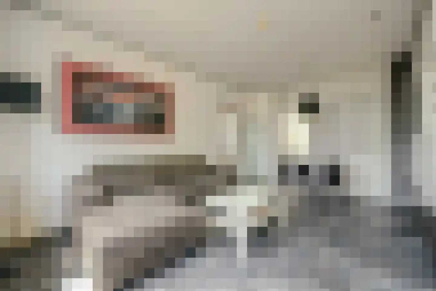 Cypressenstraat 26 Goes thumbnail 5