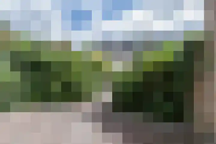 Cypressenstraat 27 Dorst thumbnail 28