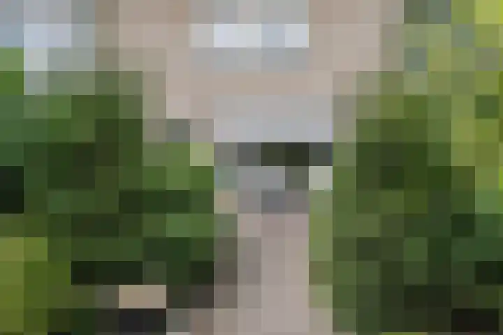 Cypressenstraat 27 Dorst thumbnail 29