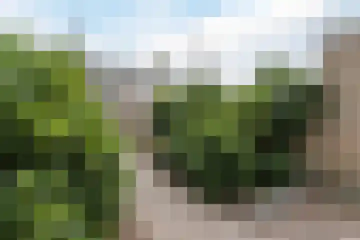 Cypressenstraat 27 Dorst thumbnail 31