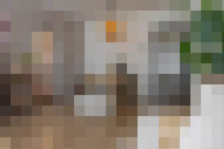 Cypressenstraat 27 Dorst thumbnail 32