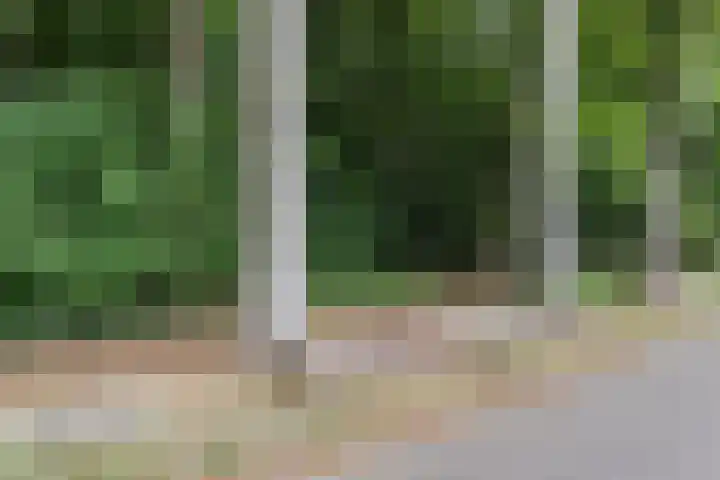 Cypressenstraat 27 Dorst thumbnail 33