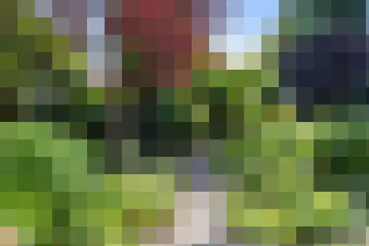 Cypressenstraat 27 Dorst thumbnail 39